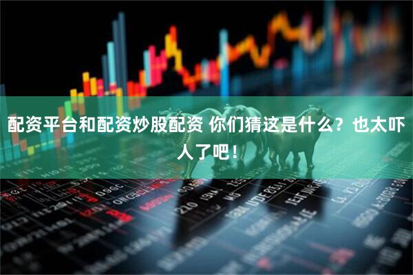 配资平台和配资炒股配资 你们猜这是什么？也太吓人了吧！