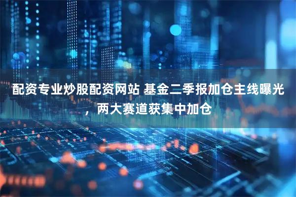 配资专业炒股配资网站 基金二季报加仓主线曝光,两大赛道获集中加仓