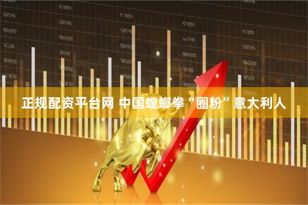 正规配资平台网 中国螳螂拳“圈粉”意大利人